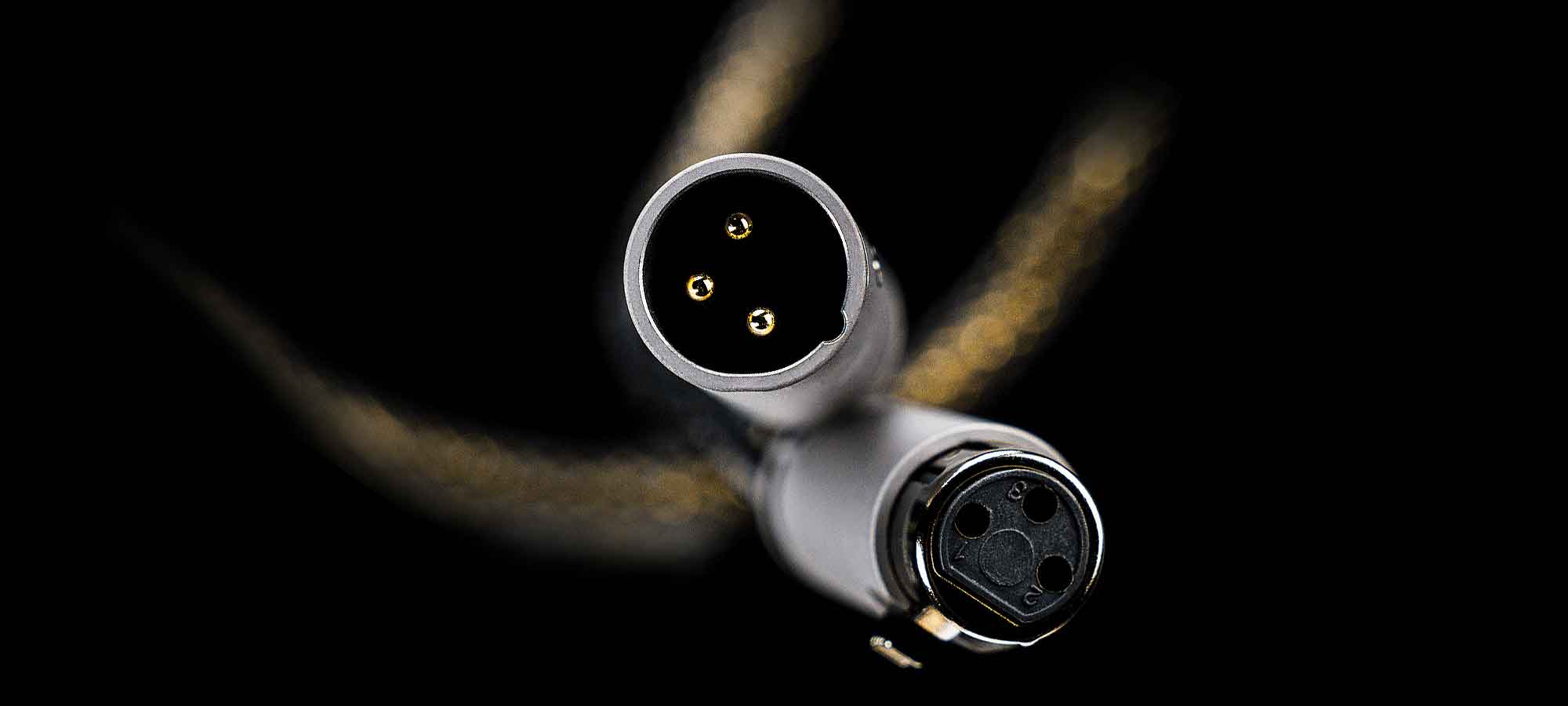 Ansuz Digitalz D-TC Gold Signature XLR